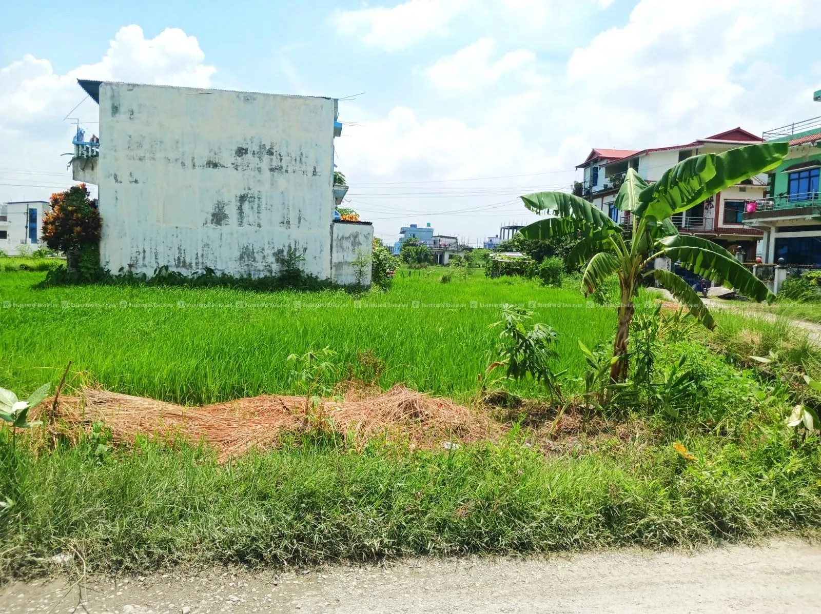 8.5 Dhur Land for Sale in Itahari 1, Pipal Chowk 3
