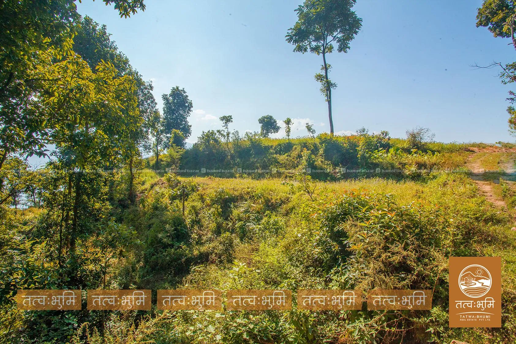 5 Ropani land for sale in Kabilash - Nuwakot. 7