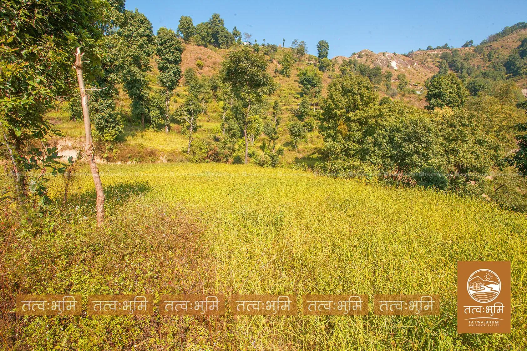5 Ropani land for sale in Kabilash - Nuwakot. 8