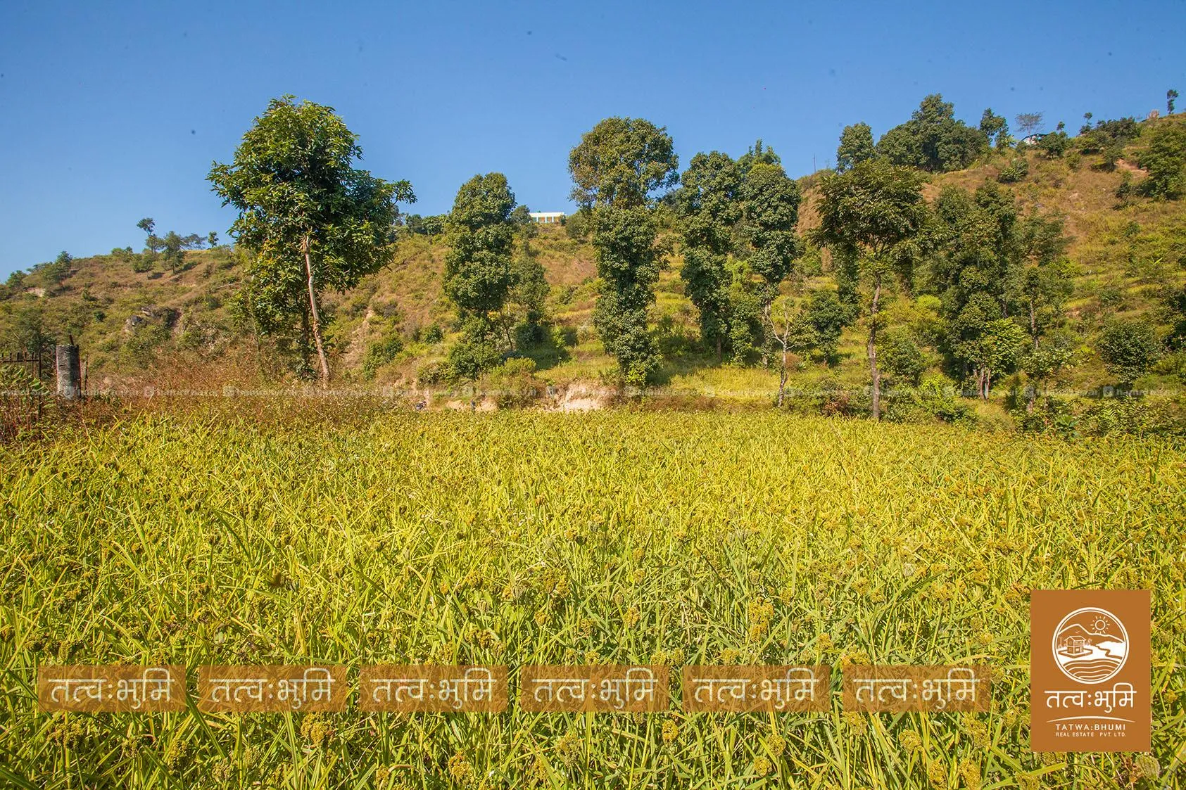 5 Ropani land for sale in Kabilash - Nuwakot. 2
