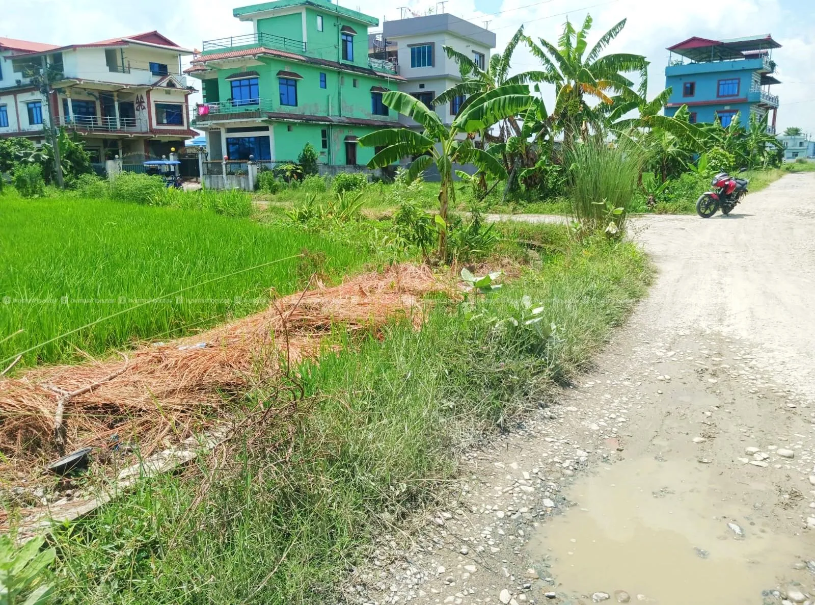 8.5 Dhur Land for Sale in Itahari 1, Pipal Chowk 6