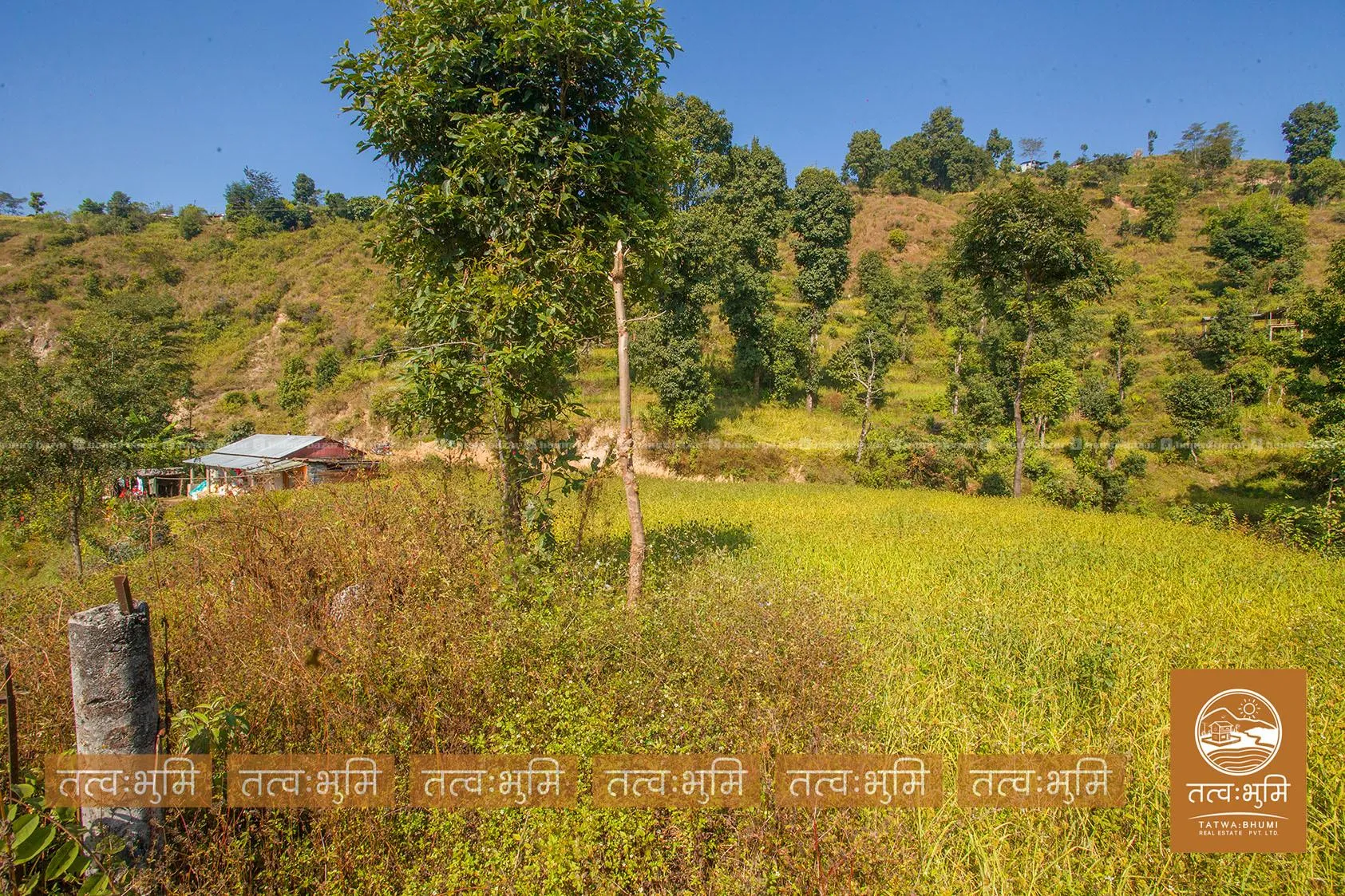 5 Ropani land for sale in Kabilash - Nuwakot. 4