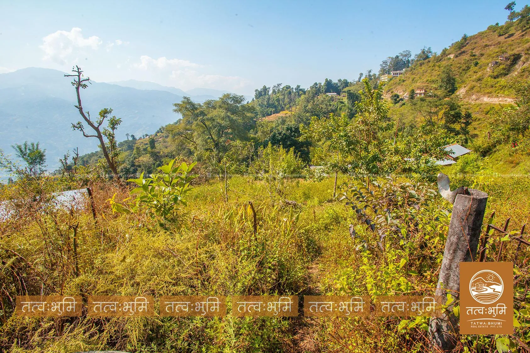 5 Ropani land for sale in Kabilash - Nuwakot. 5