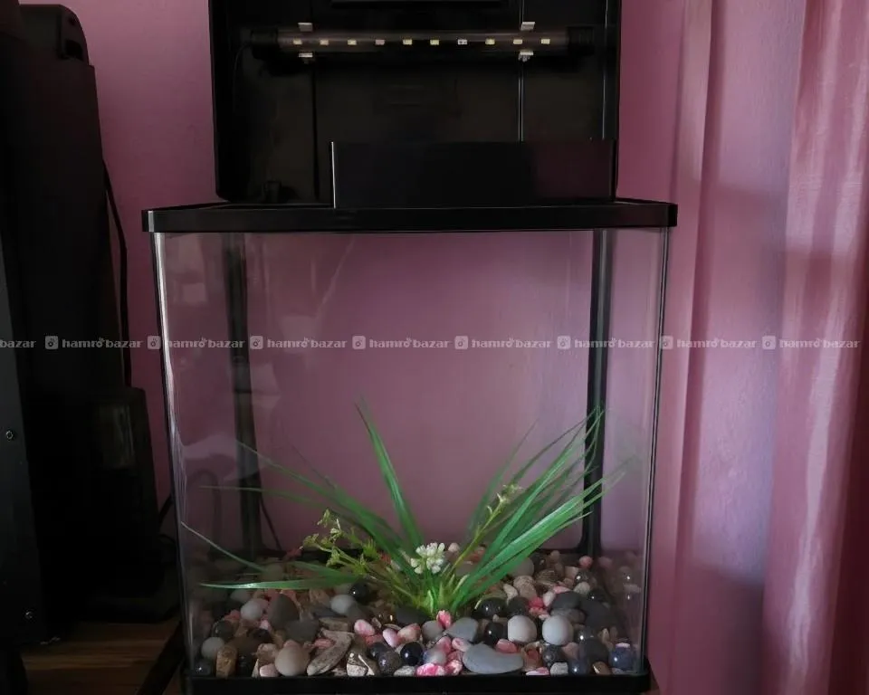 Glass aquarium 2