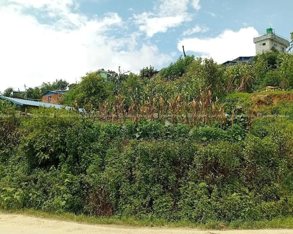 land for sale at lalitpur 3