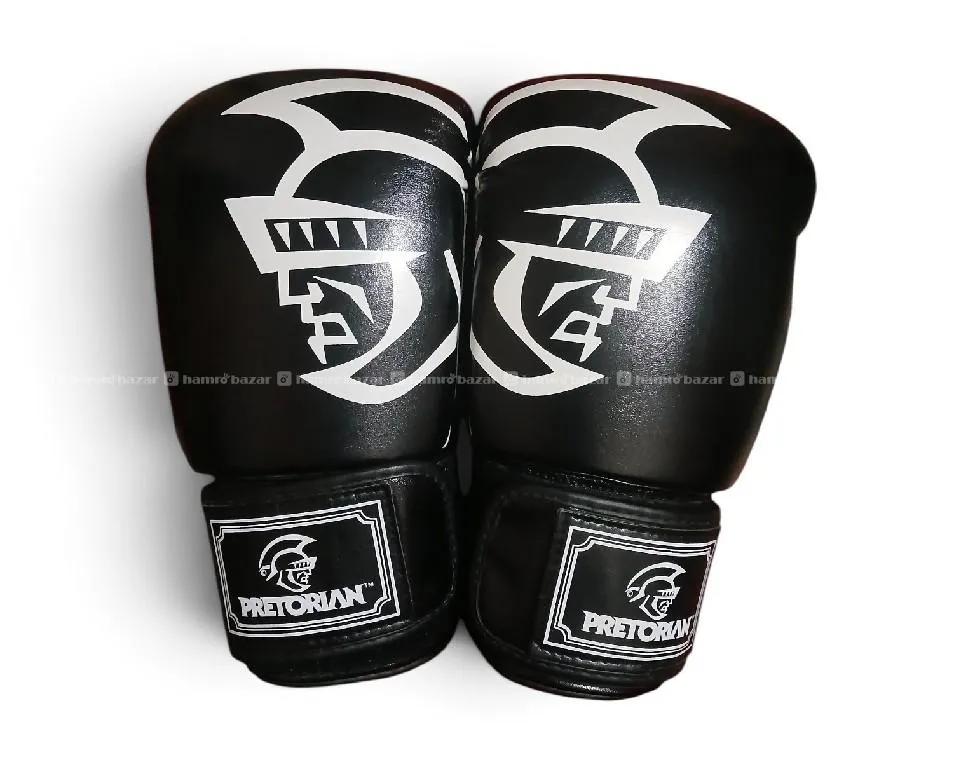 Boxing Gloves 2