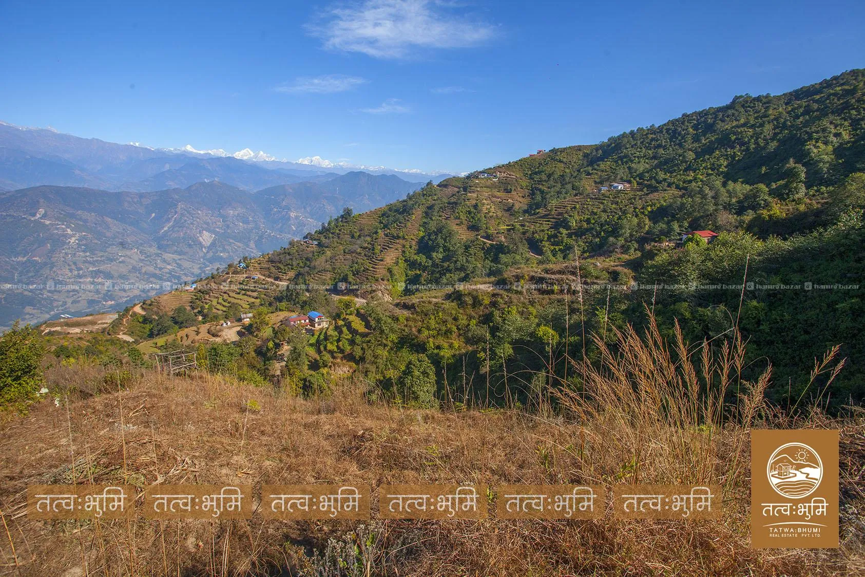 41 Ropani land for sale in Suryachaur - Nuwakot. 4