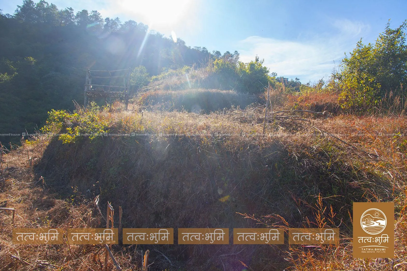 41 Ropani land for sale in Suryachaur - Nuwakot. 2