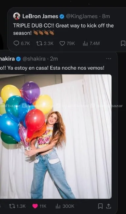 X(Twitter) Premium 6