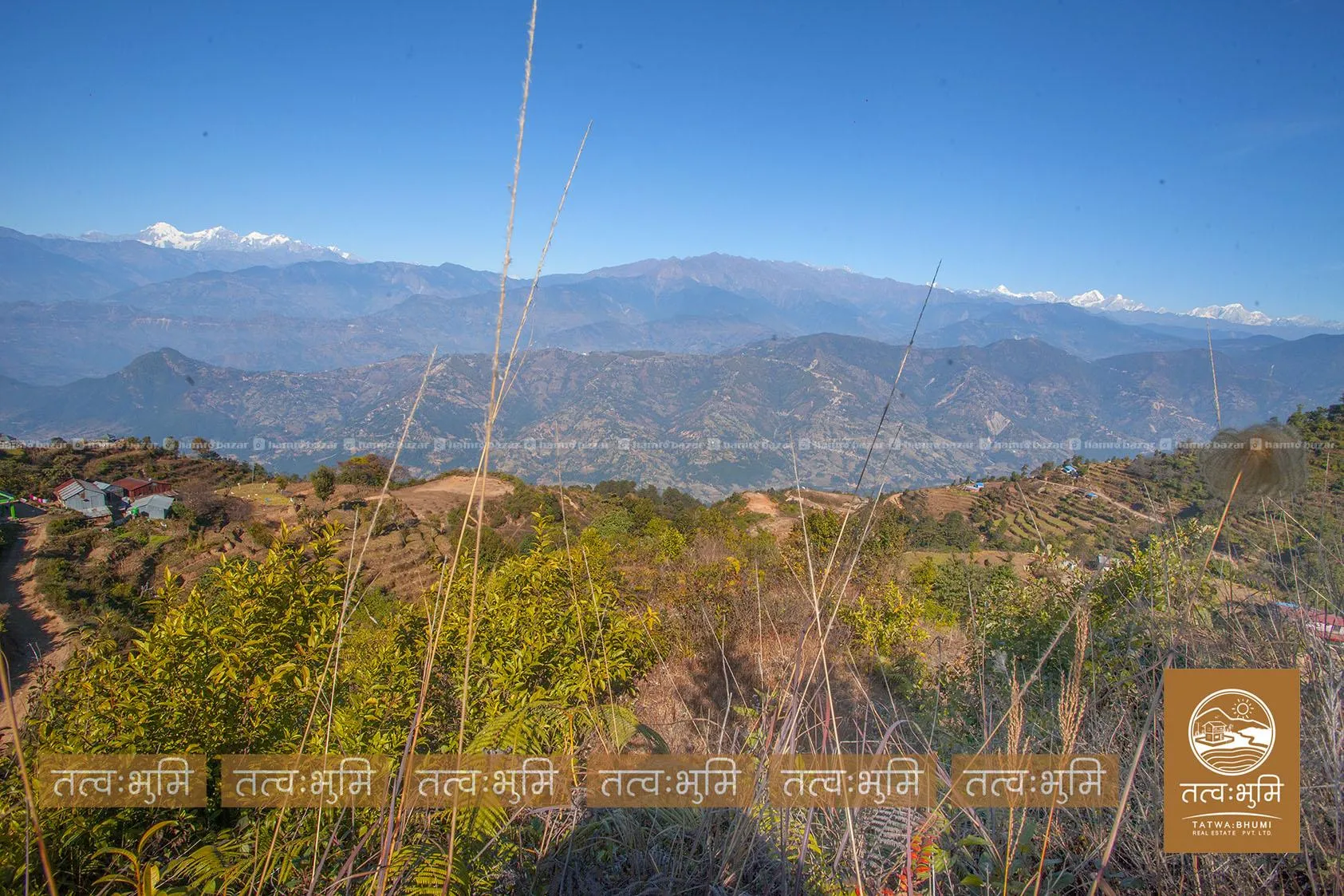 41 Ropani land for sale in Suryachaur - Nuwakot. 5