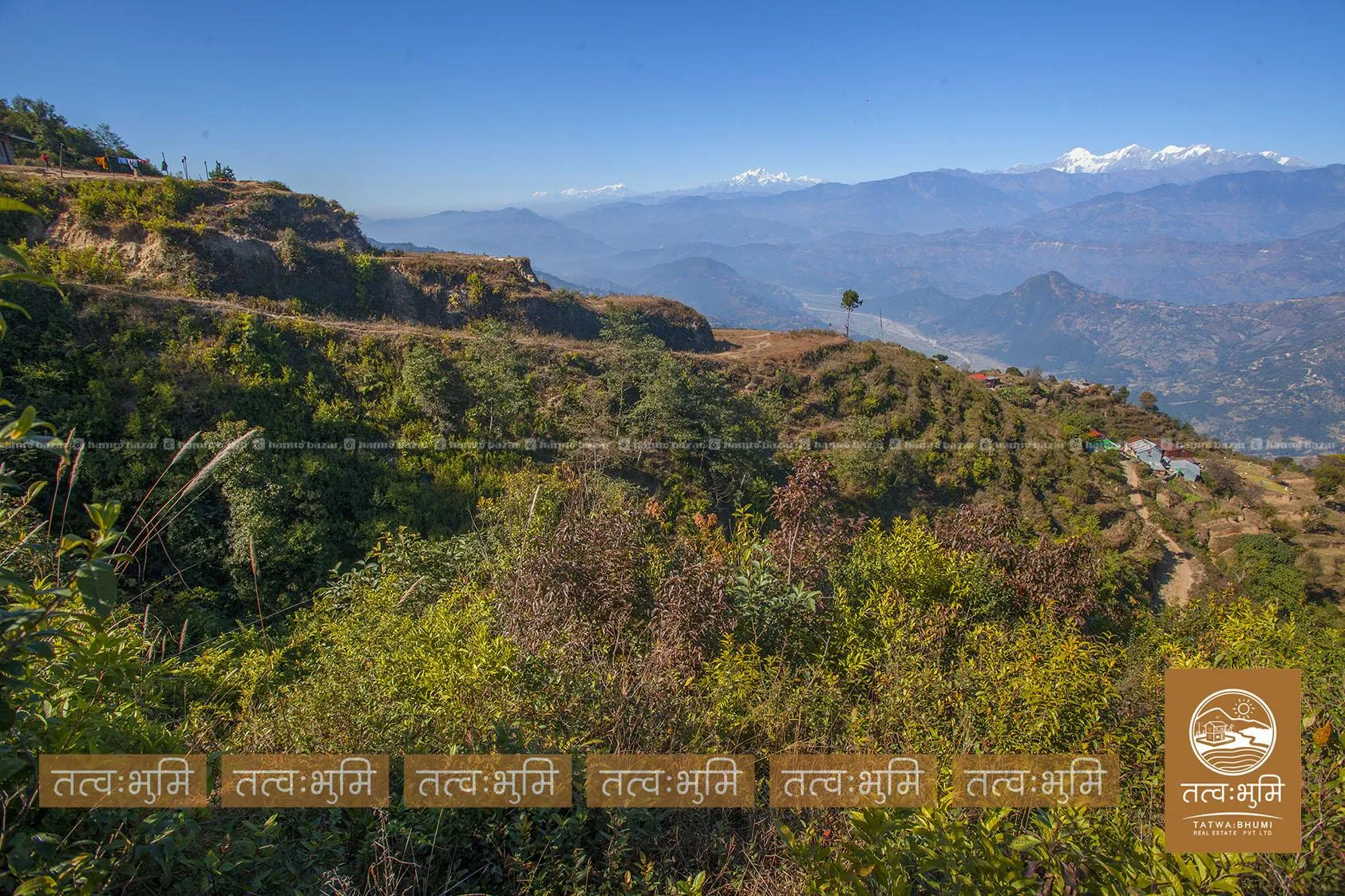 41 Ropani land for sale in Suryachaur - Nuwakot. 7