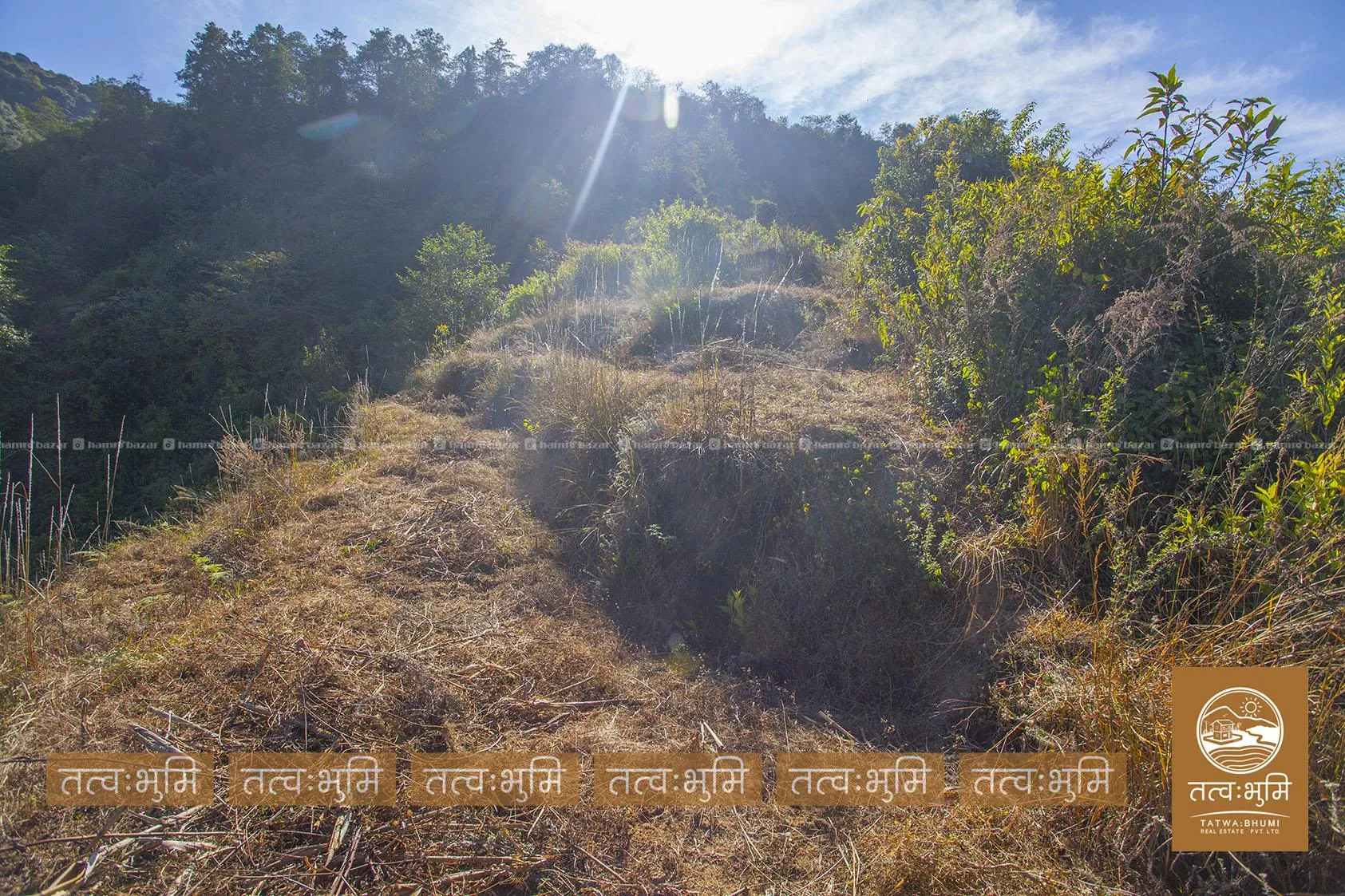 41 Ropani land for sale in Suryachaur - Nuwakot. 3