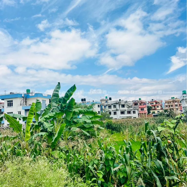 land for sale kirtipur 4 ghare kathamandu 4 aana 4
