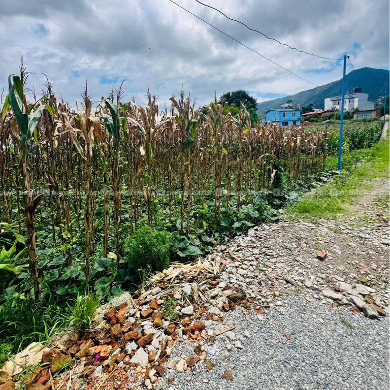land for sale kirtipur 4 ghare kathamandu 4 aana 2
