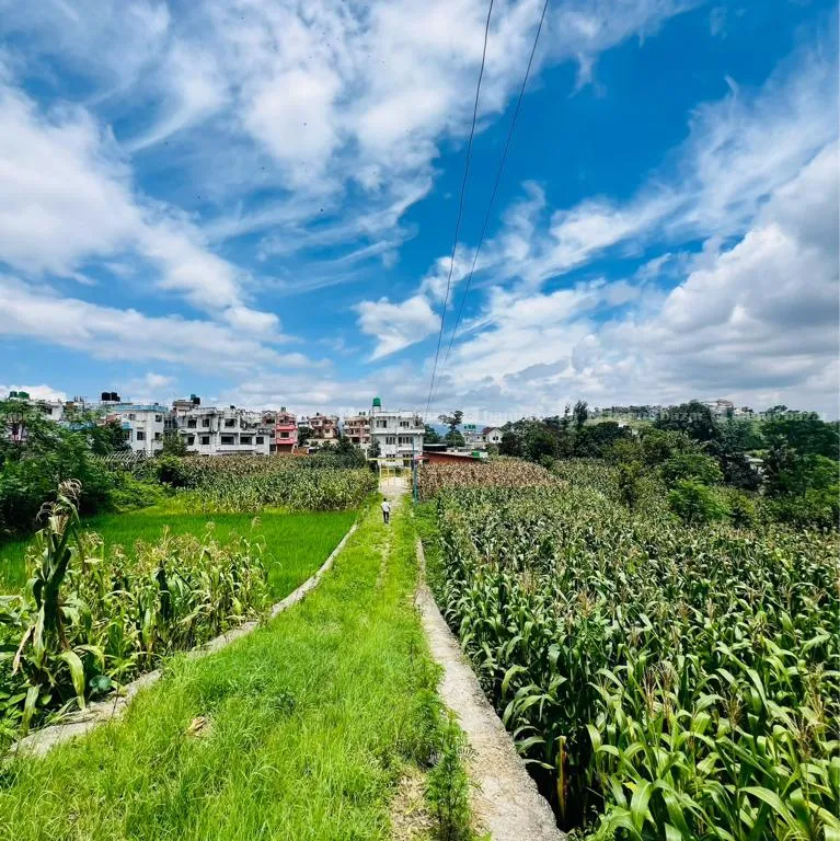 land for sale kirtipur 4 ghare kathamandu 4 aana 5