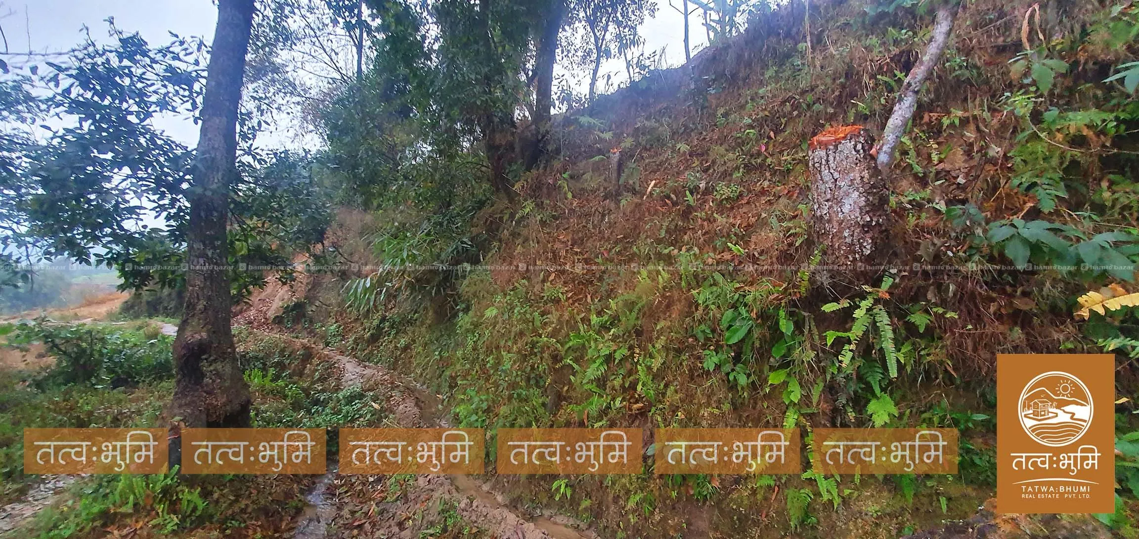 1 Ropani land for sale in Sunkhani - Nuwakot. 5
