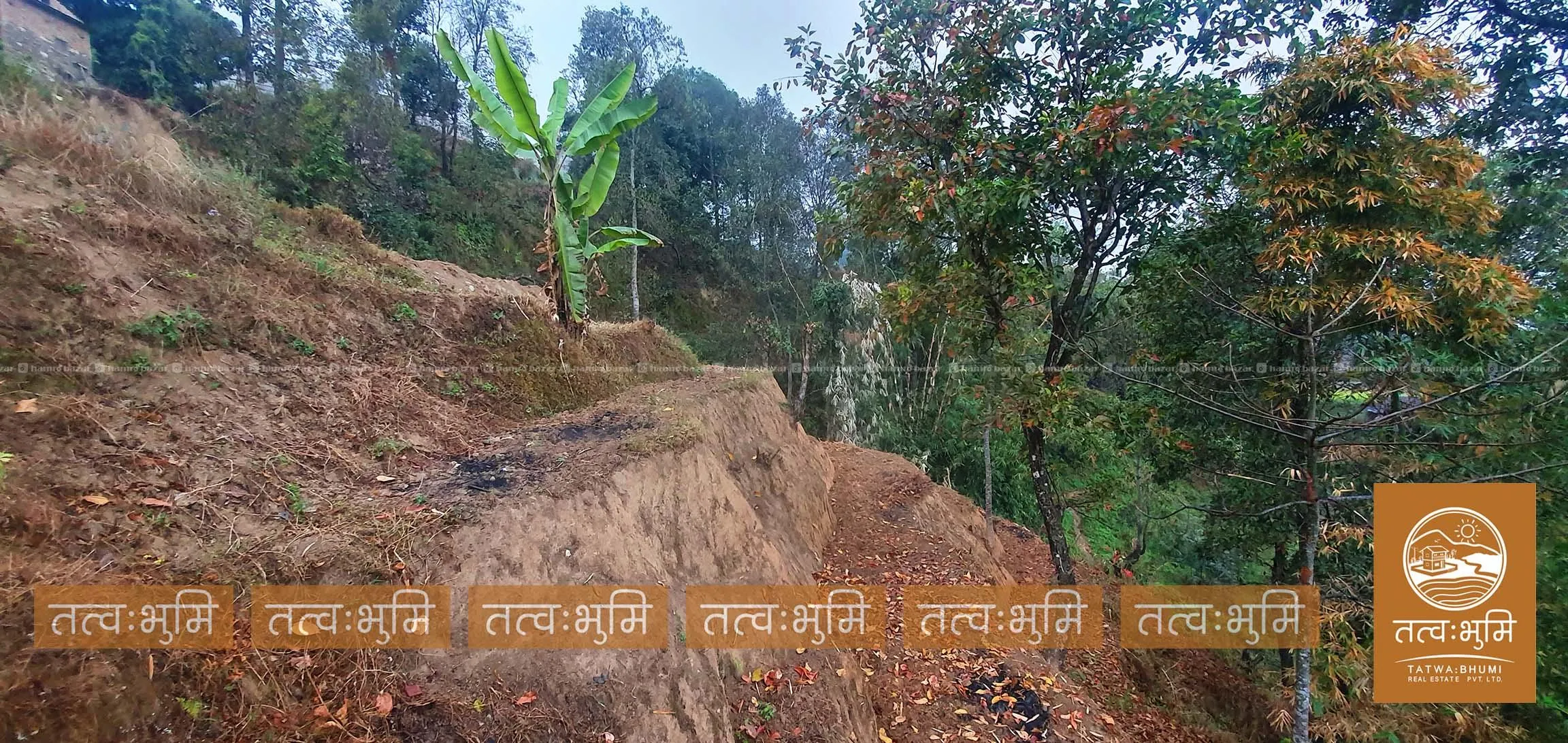 1 Ropani land for sale in Sunkhani - Nuwakot. 6