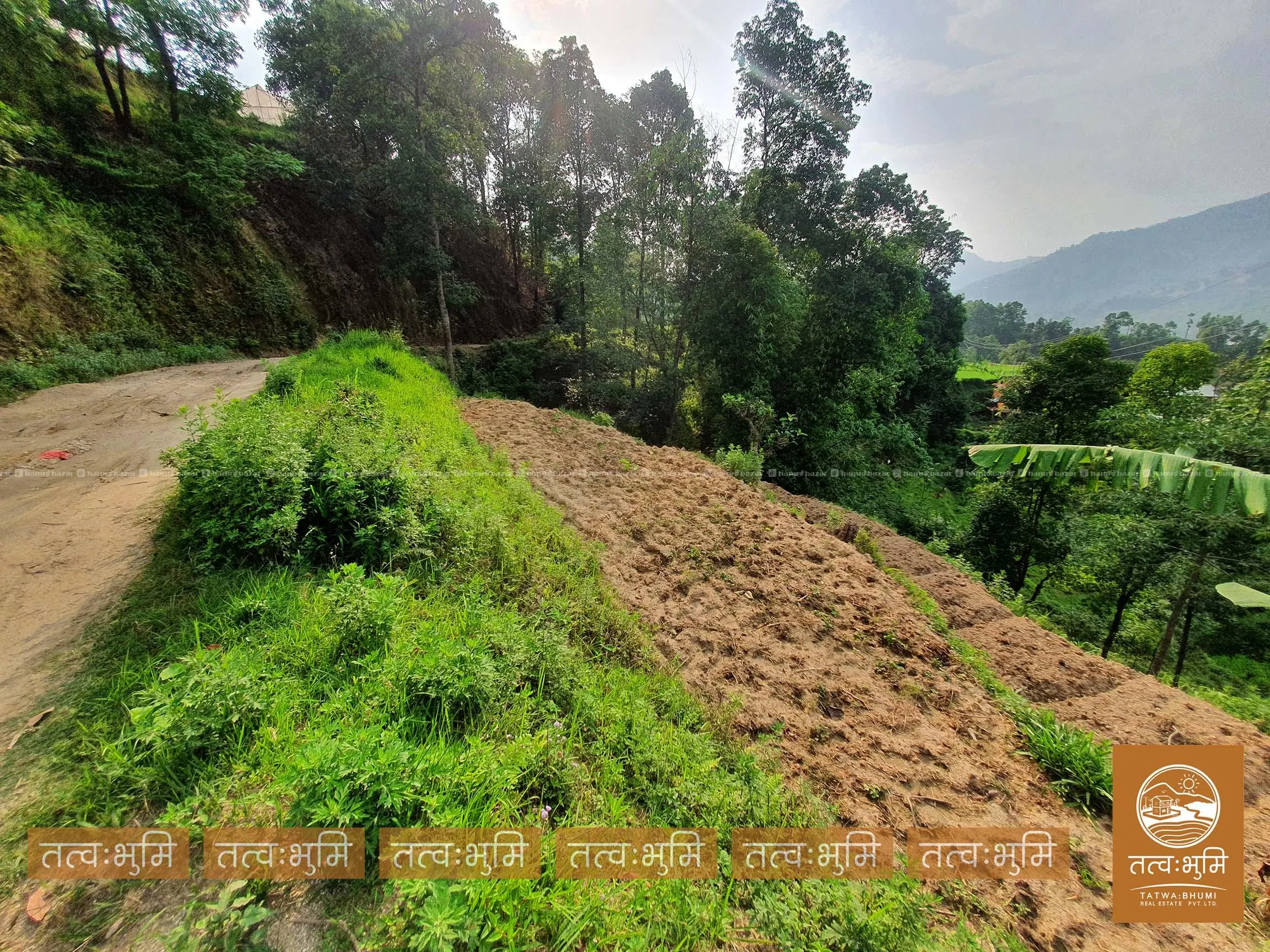 1 Ropani land for sale in Sunkhani - Nuwakot. 3