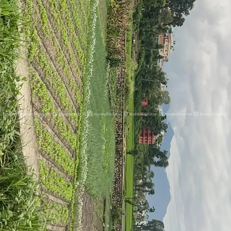Land On Sale = Bhaktapur Dibyeshwori 2