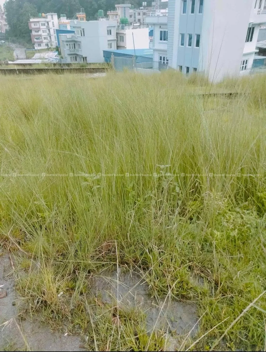 Land For Sale @ Budhanilkantha 3