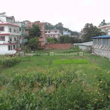 Land For Sale 2
