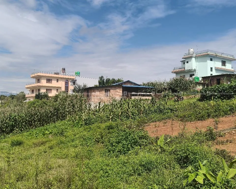 एकमुष्ट 3 रोपनी जग्गा बिक्रीमा 2