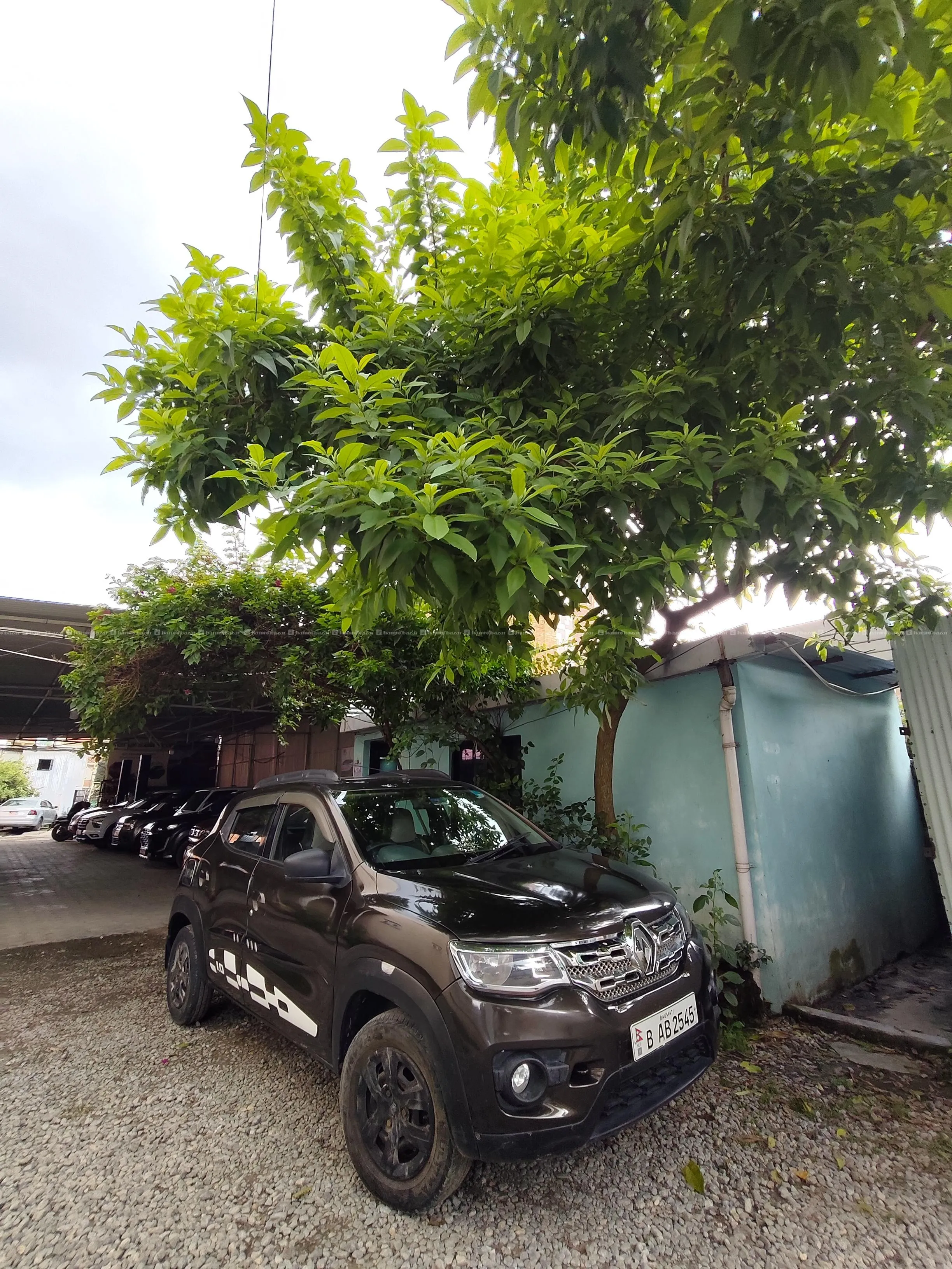 Renault Kwid 2017 4