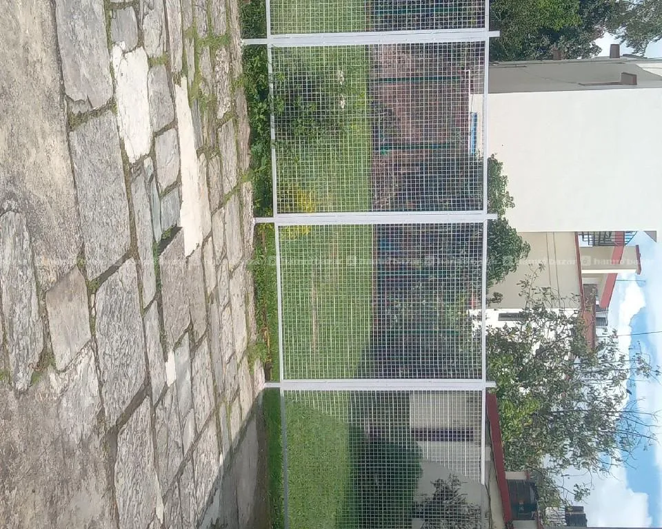 House on rent at Baluwatar, area KTM. 4
