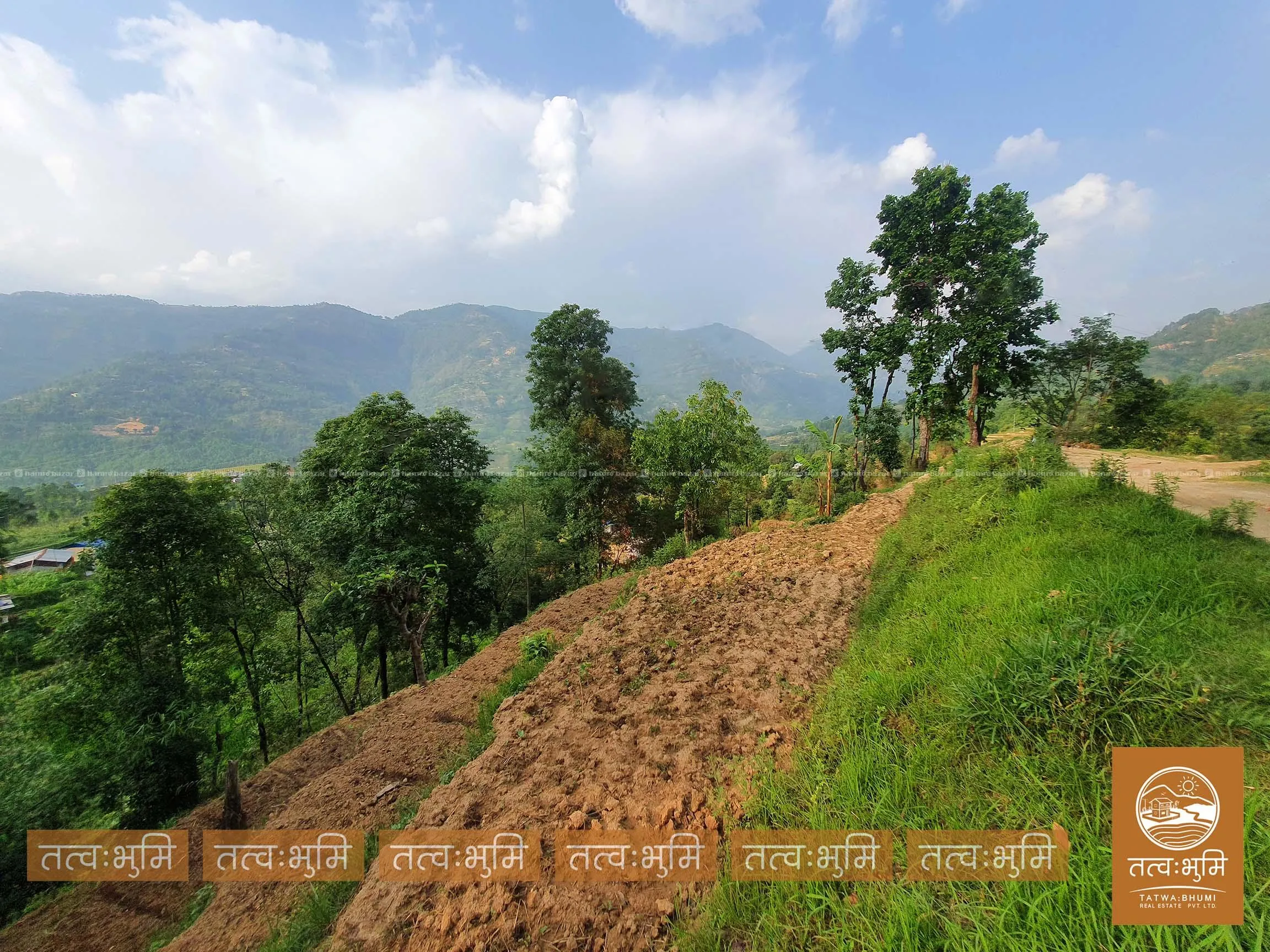 1 Ropani land for sale in Sunkhani - Nuwakot. 8