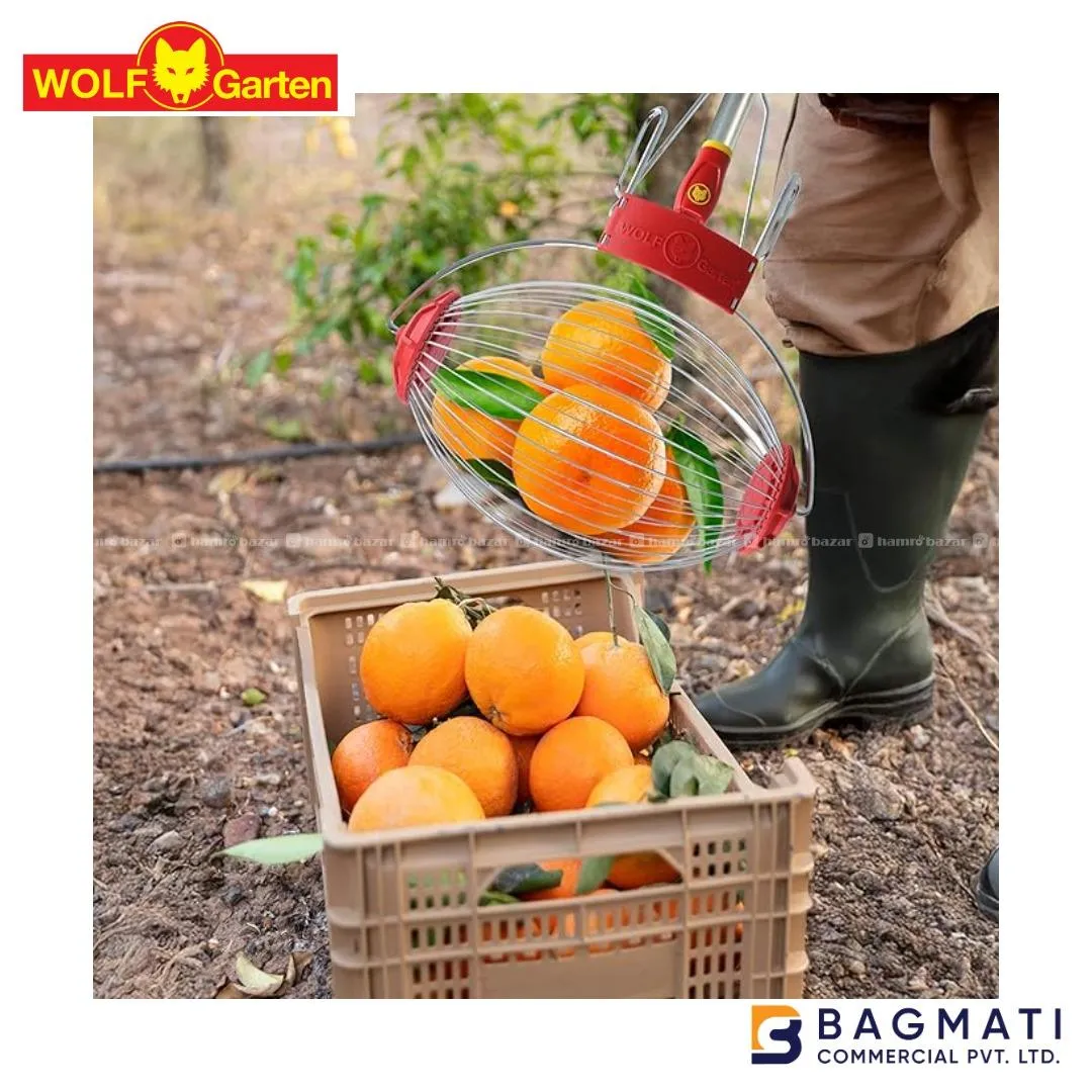 Wolf Garten  FRUIT COLLECTOR/HANDLE - MULTI-STAR 3