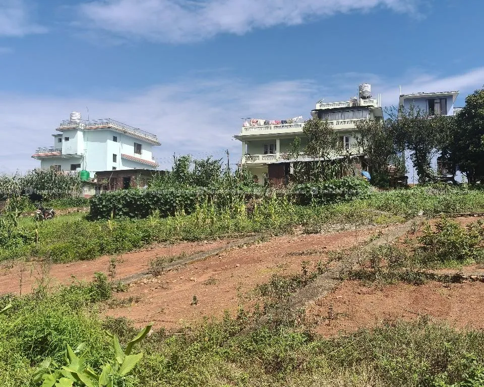 एकमुष्ट 3 रोपनी जग्गा बिक्रीमा 3