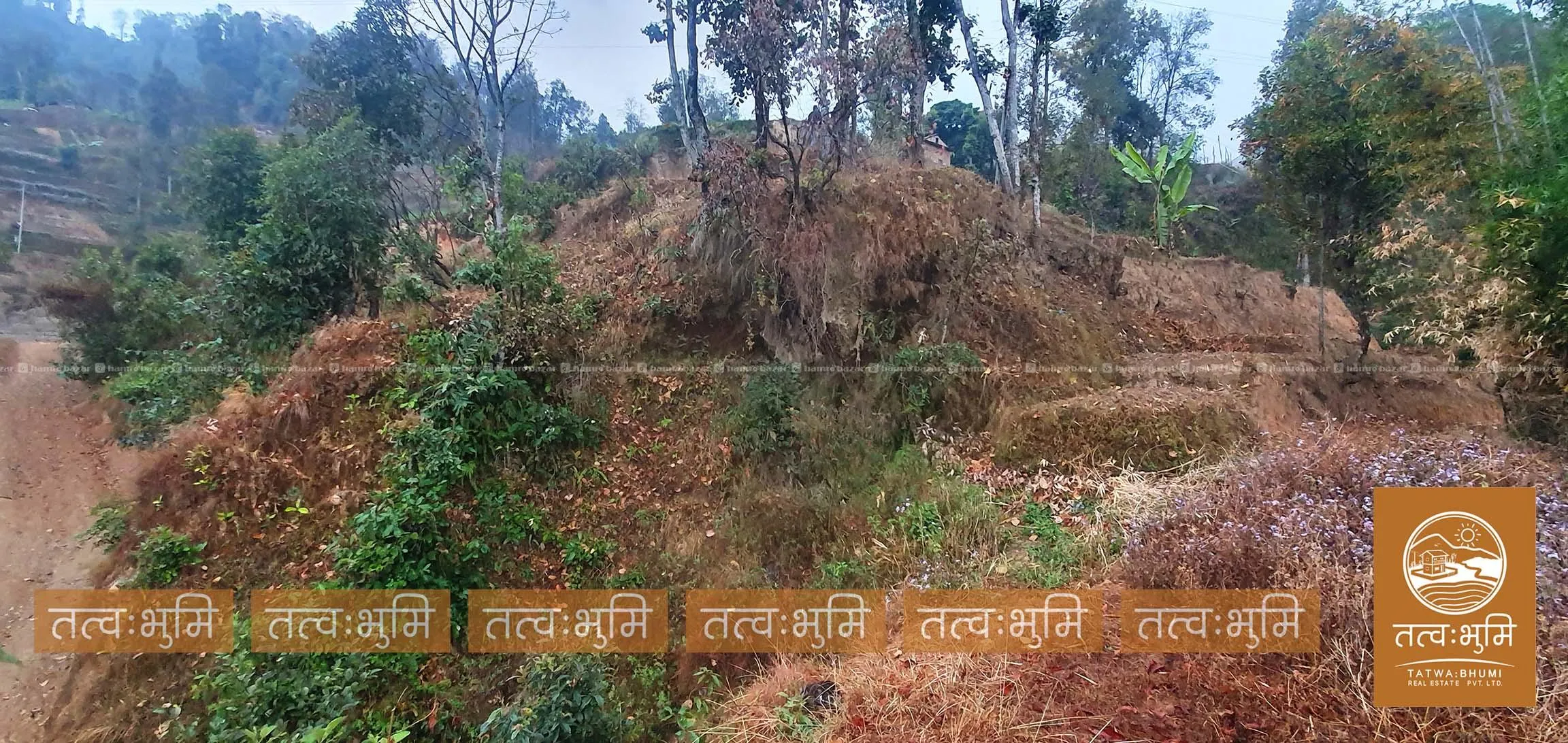 1 Ropani land for sale in Sunkhani - Nuwakot. 2