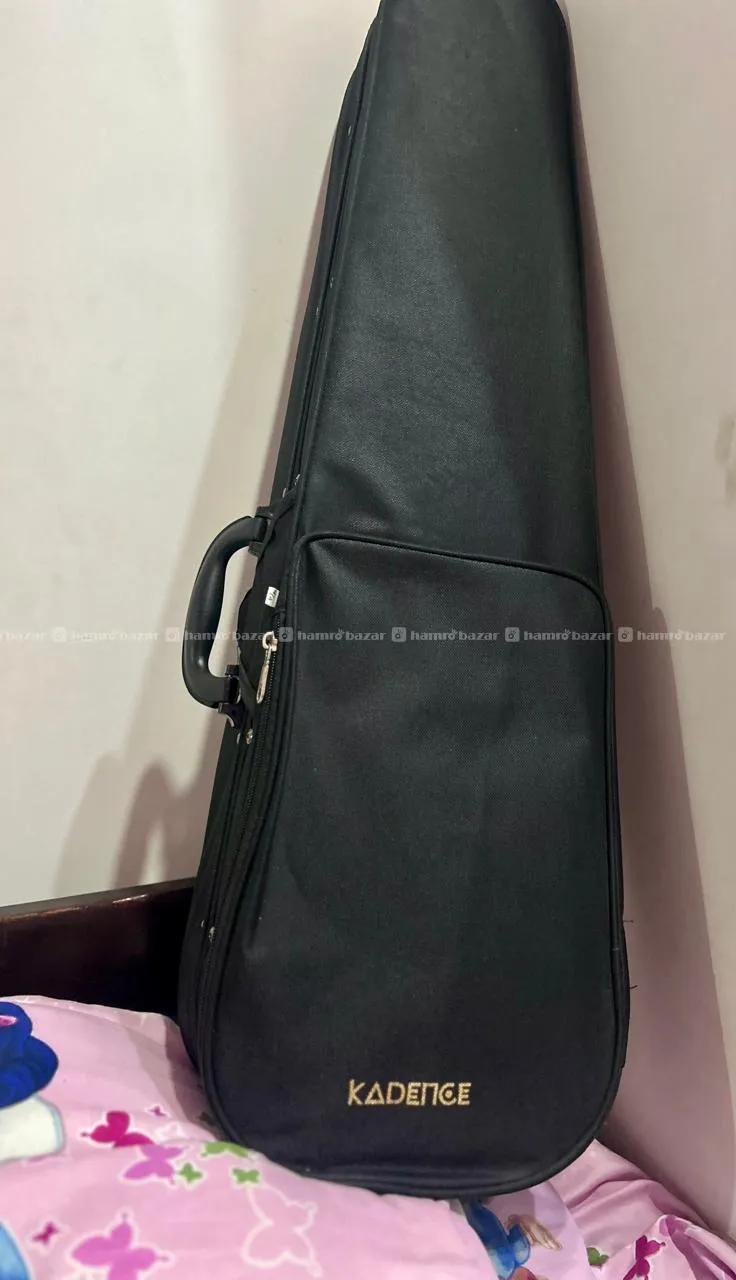 Brand New Violin on Sale 4
