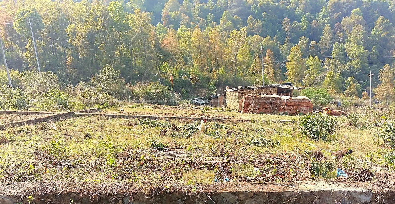 Land For sale 3