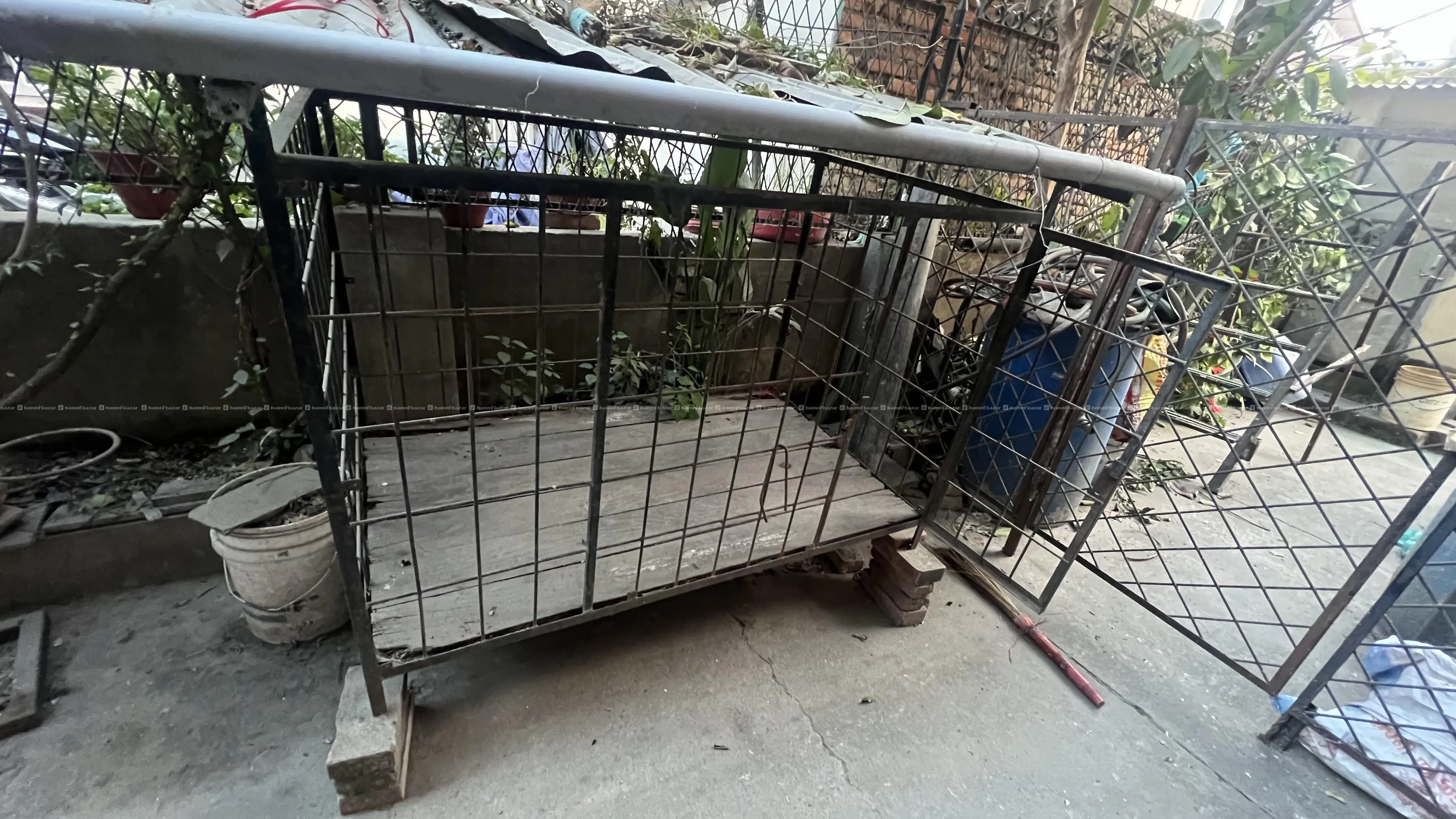 Dog Cage on sale 2