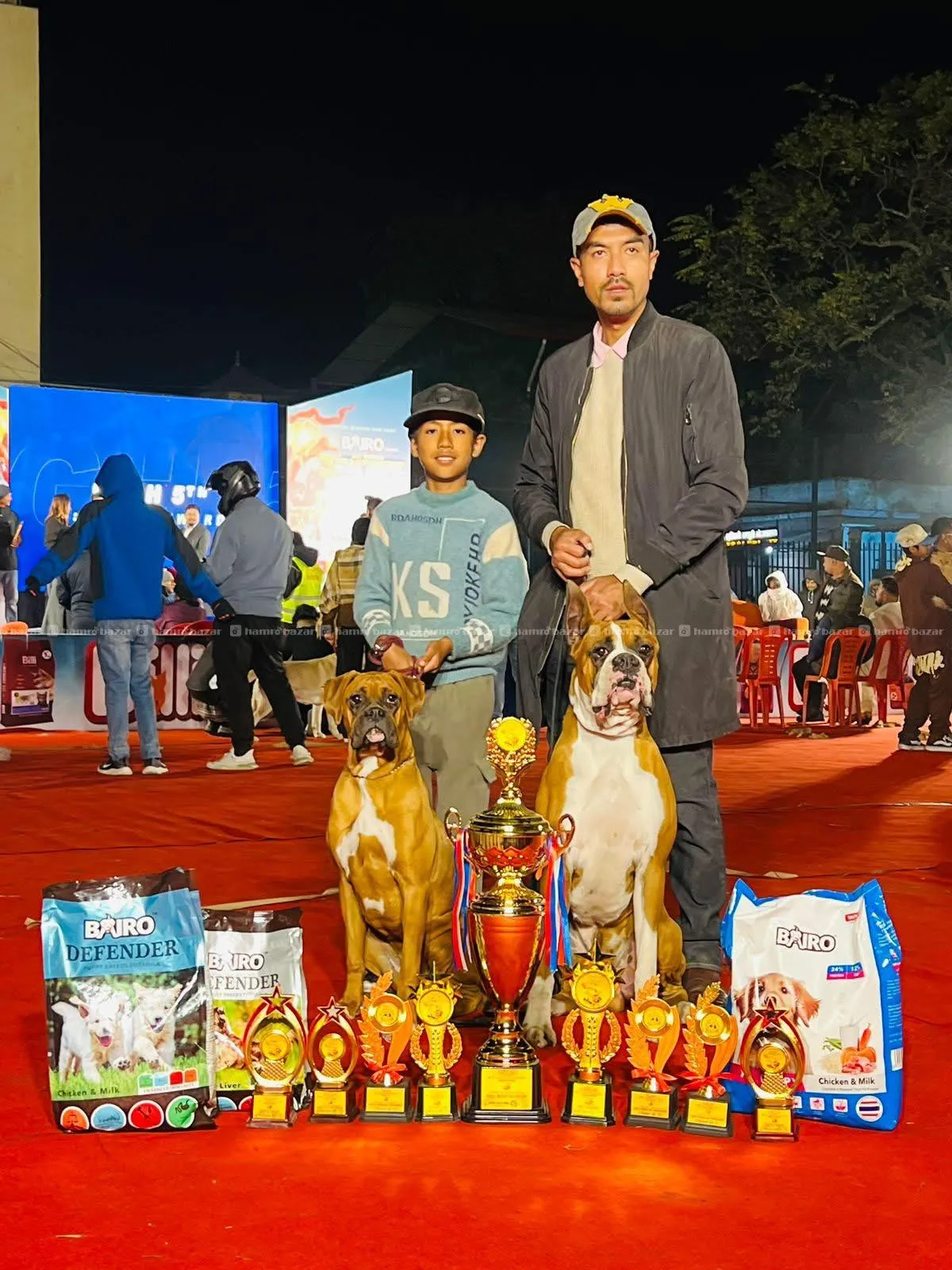 Boxer Puppies in Nepal from import iine 3