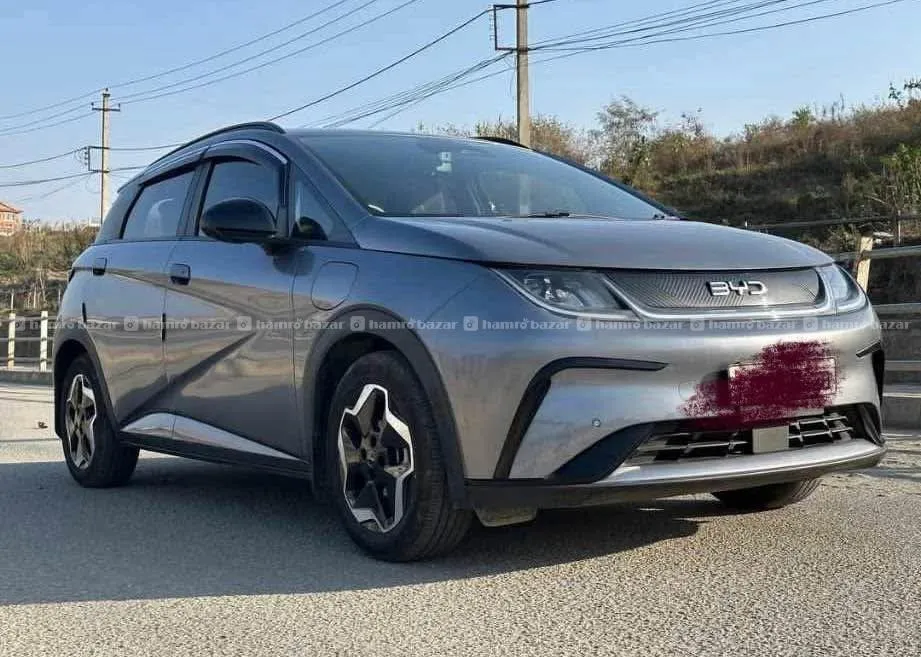 byd dolphin 2