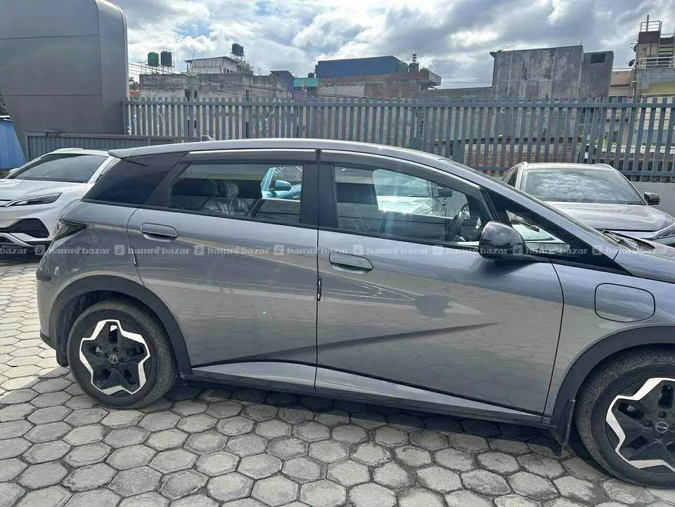 byd dolphin 3