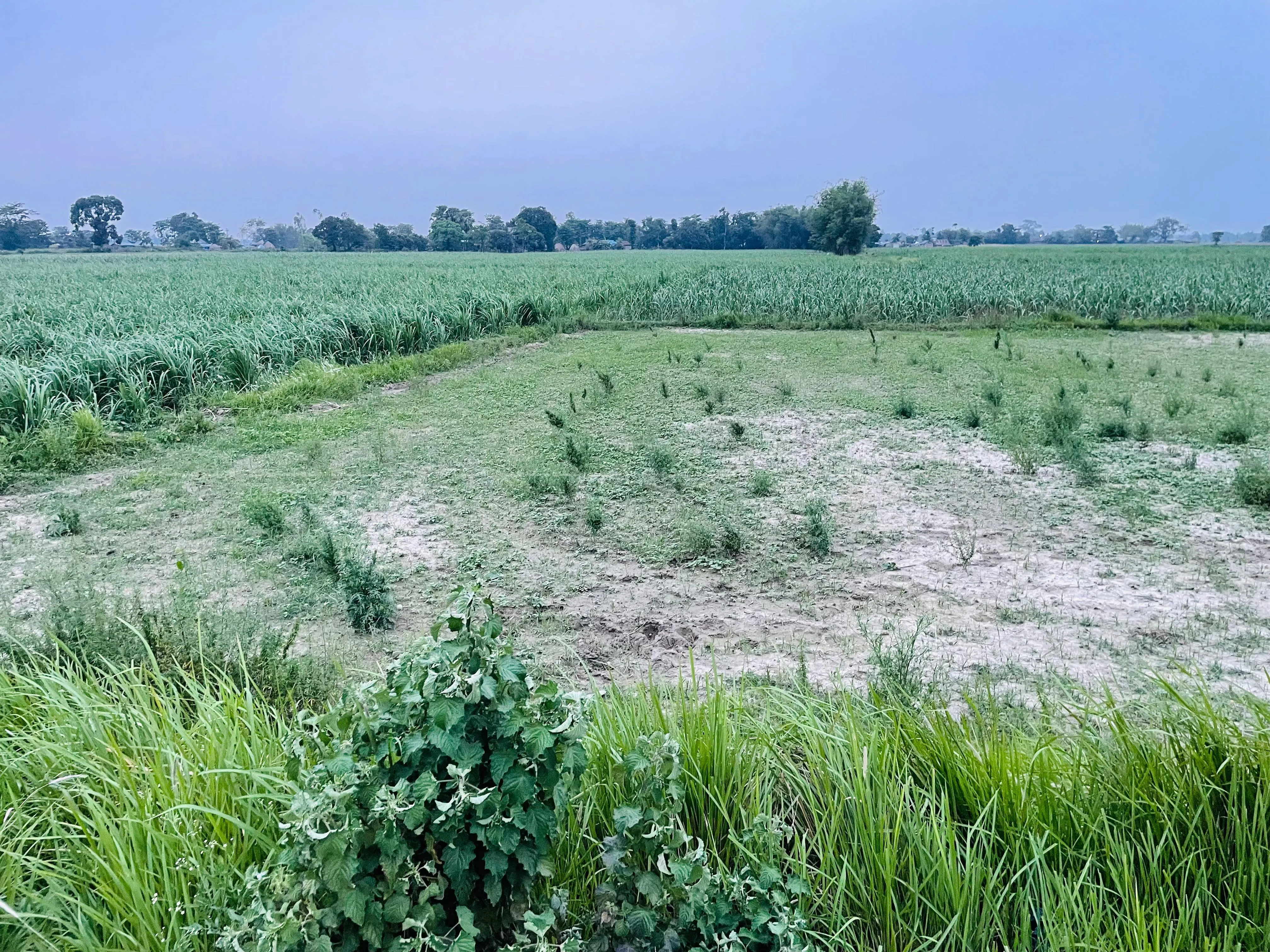 Urgent Sale, Land For Sale ! 3