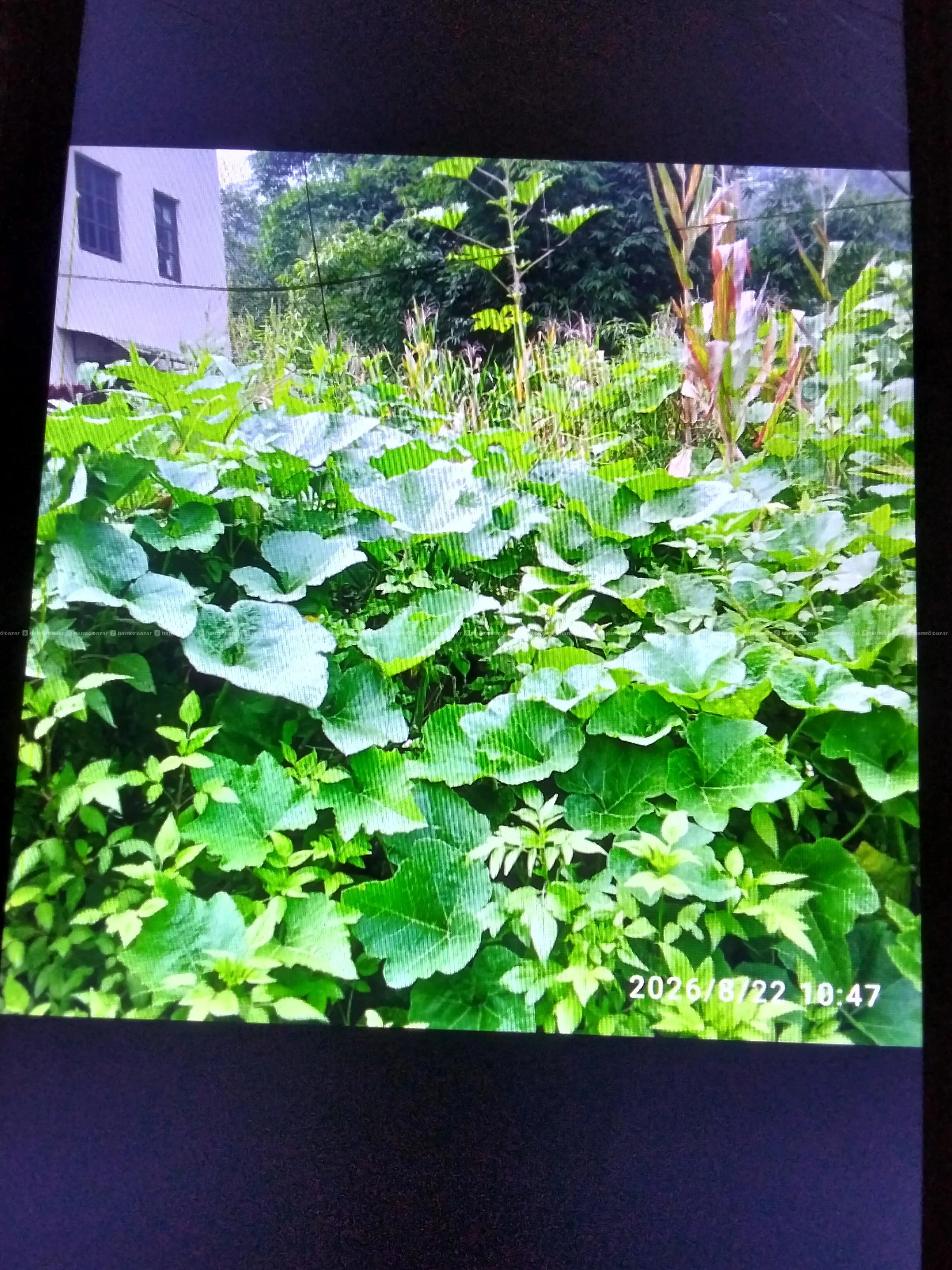 lend for sale 2