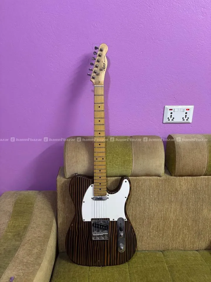 Aiersi Zebra Telecaster electric Guitar 3