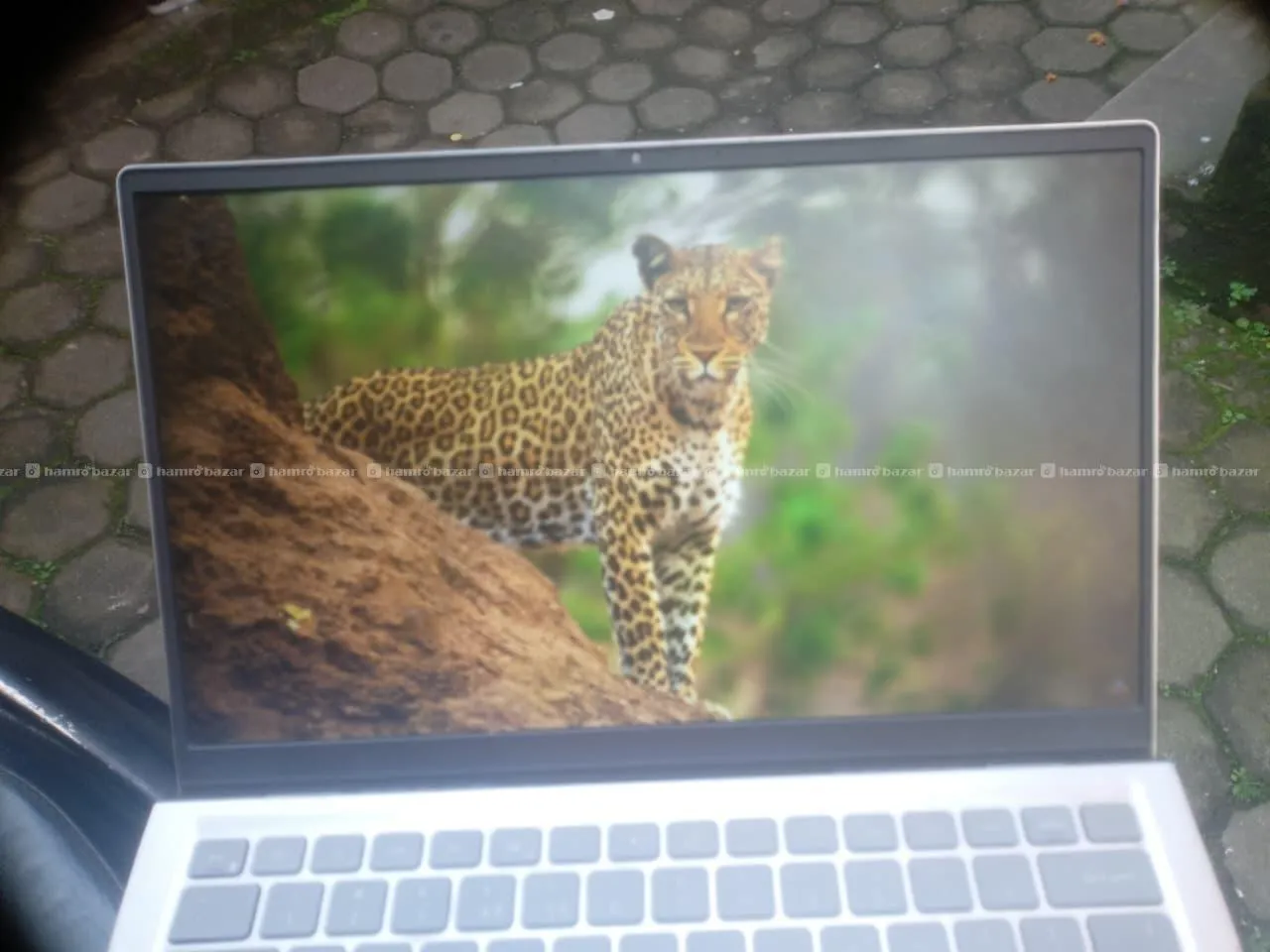 Dell Inspiron 14 5415 | 16GB RAM | 512GB SSD 2