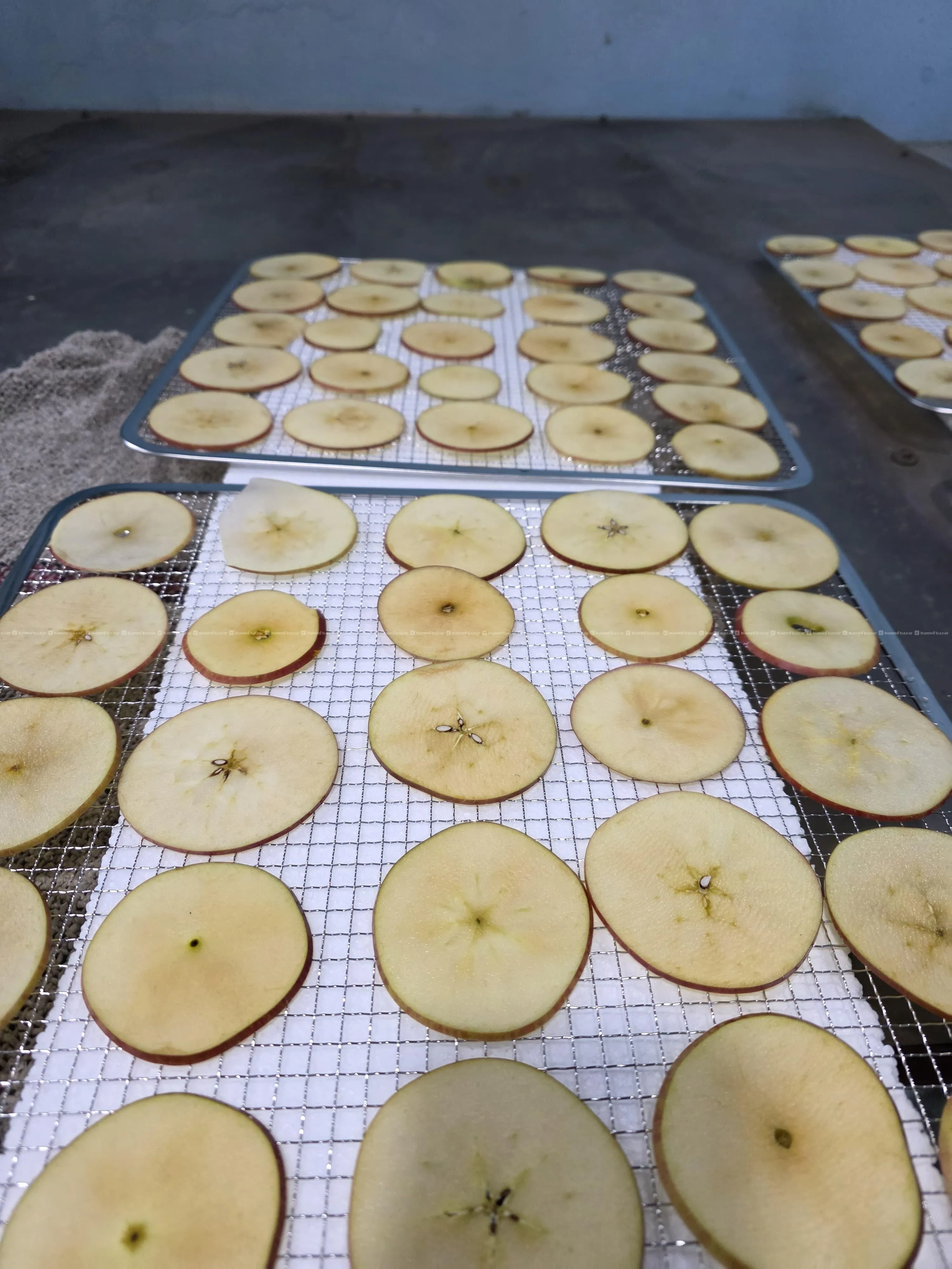 Friuts and vegetables dehydrator 3