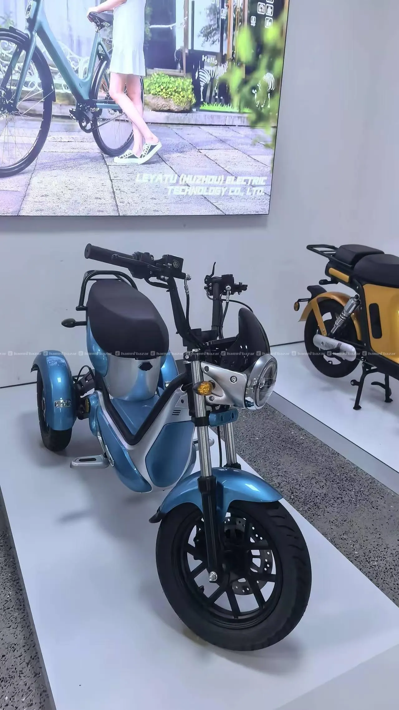 EV Scooter by voyage ( 5 varient) 5