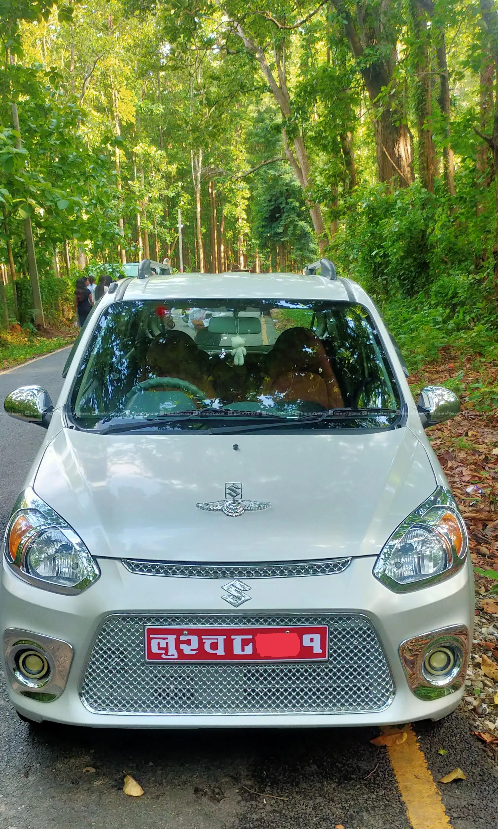 Alto 800 Model 2014 5
