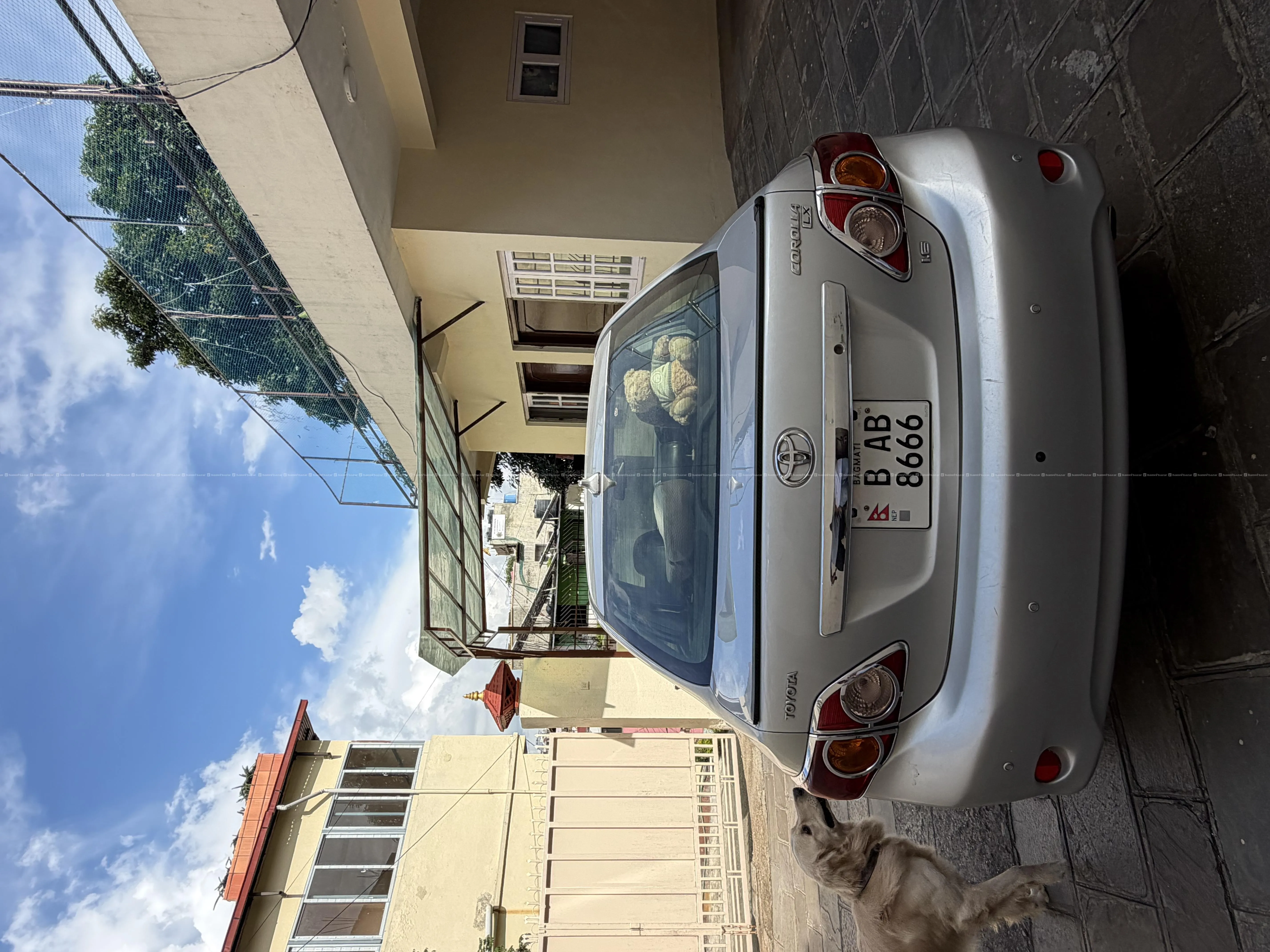 Toyota Corolla LX 3