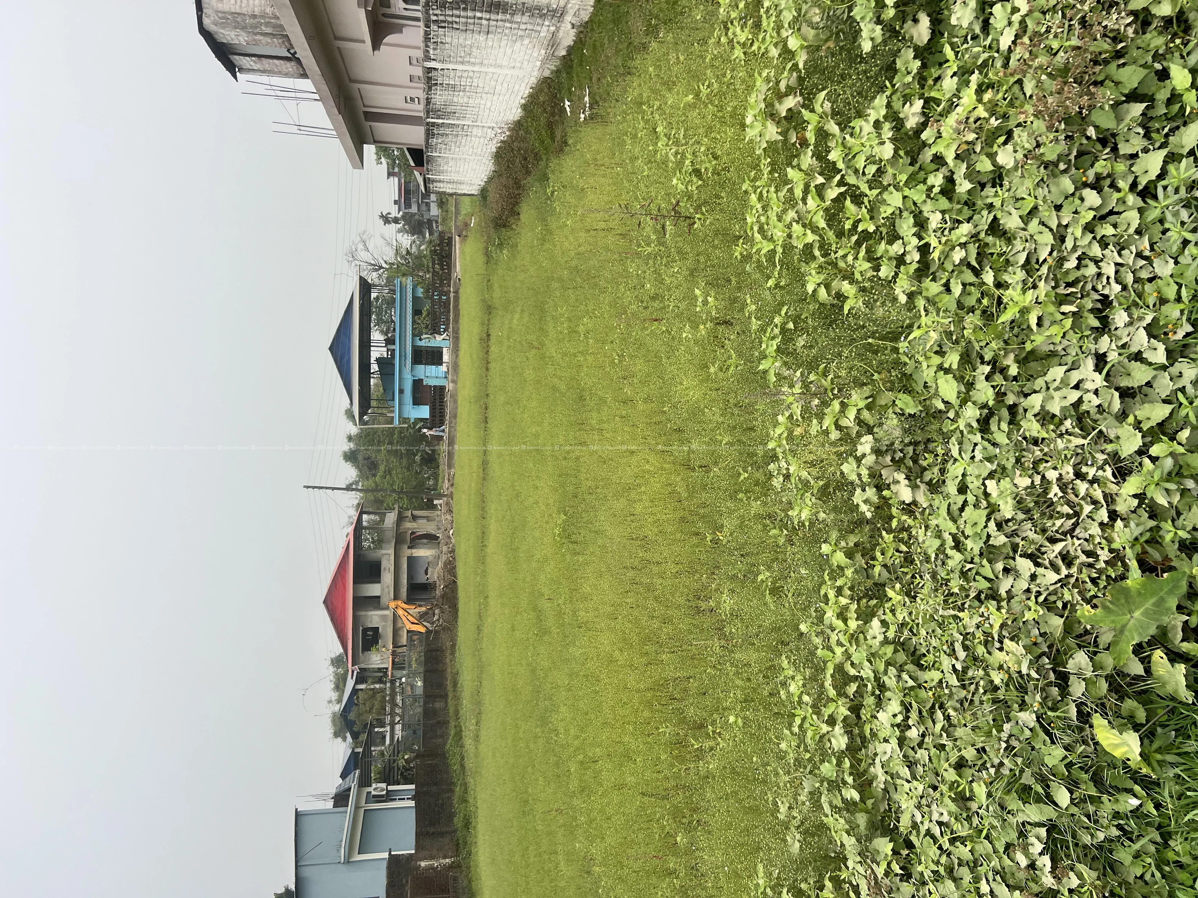 55 dhur land for sale, Chndragadi/Bhadrapur