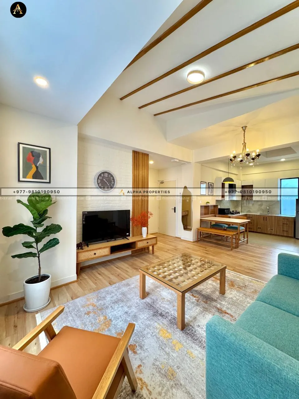SANEPA | BRAND NEW FURNISHED APARTMENTS FOR RENT 3