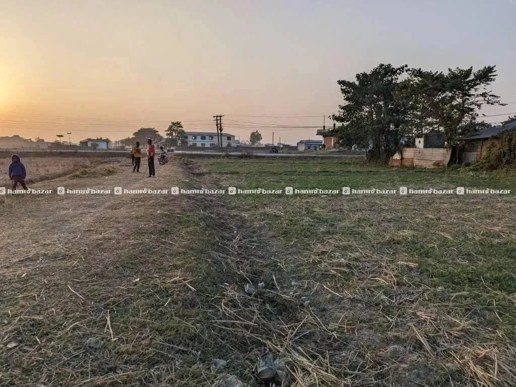 Land sale @ Biratnagar 3