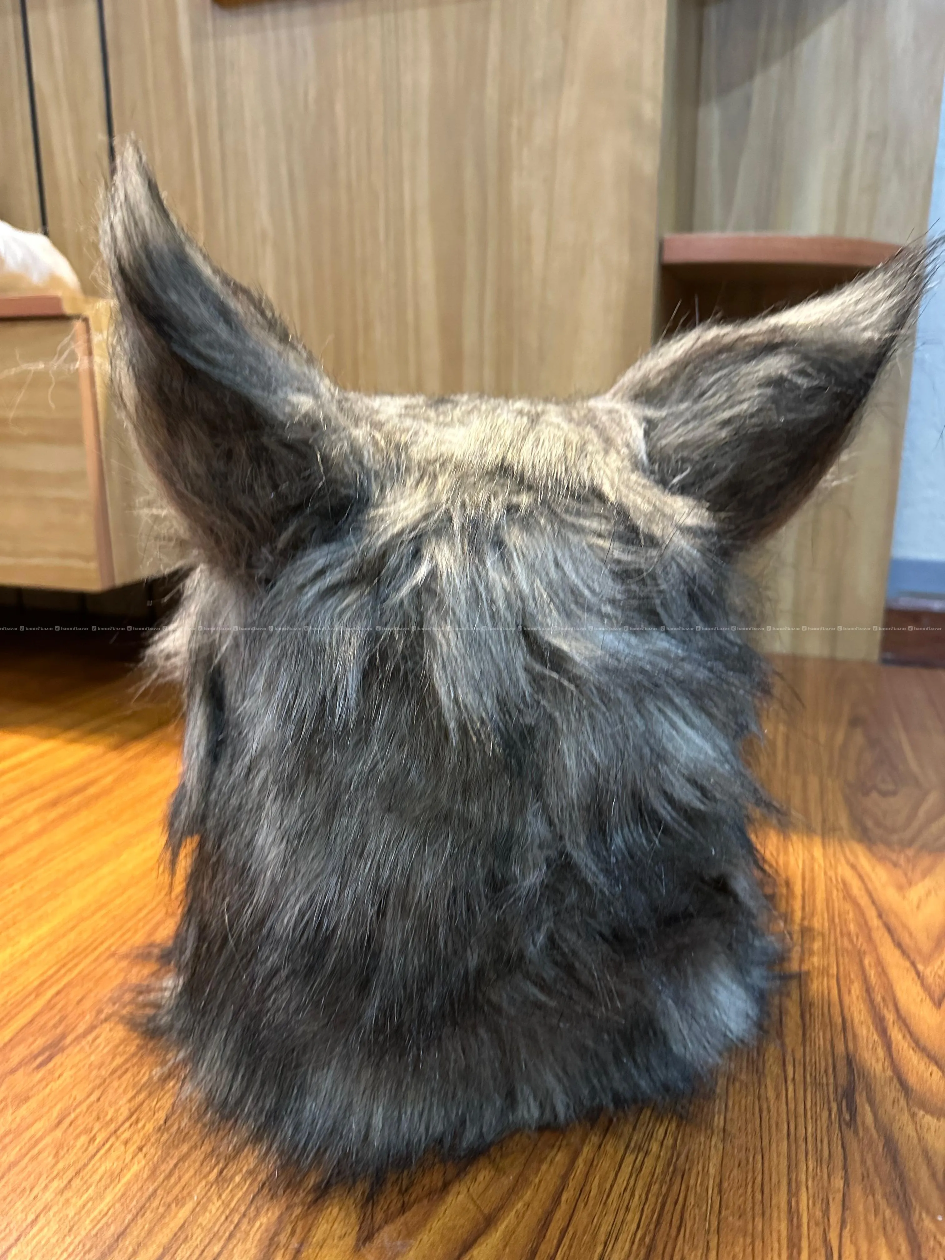 Handmade Inosuke/Wolf Mask | Cosplay & Costume 3